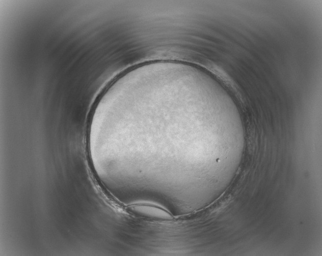 X0000062890896200601271644