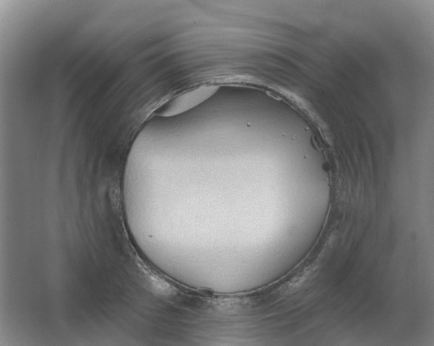 X0000062890897200601271644