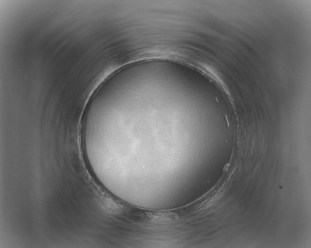 X0000062890899200601271644