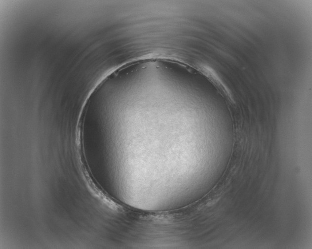 X0000062890900200601271644