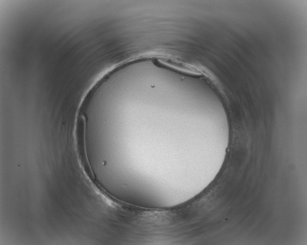 X0000062890902200601271644