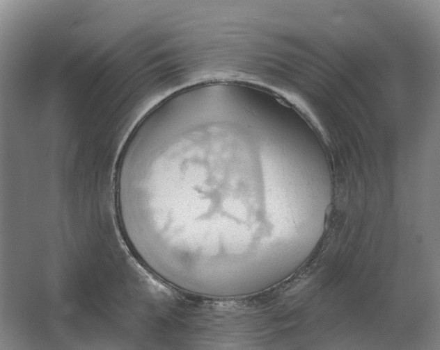 X0000062890903200601271644