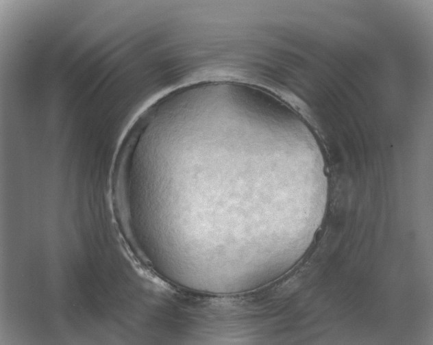 X0000062890904200601271644