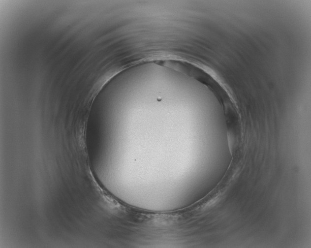 X0000062890905200601271644