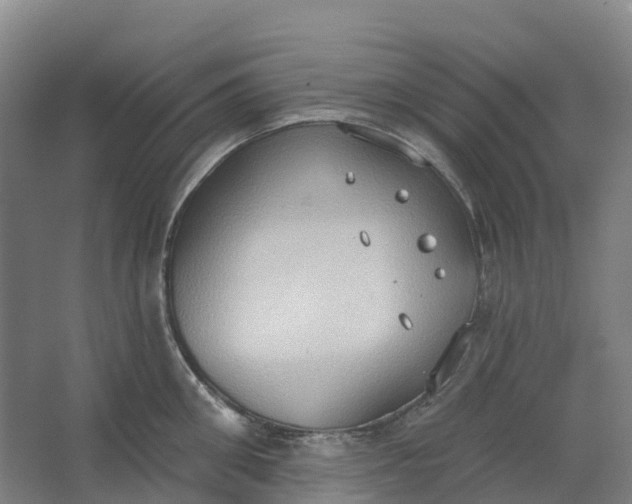 X0000062890906200601271644