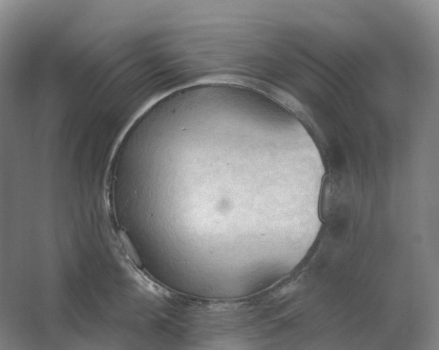 X0000062890908200601271644