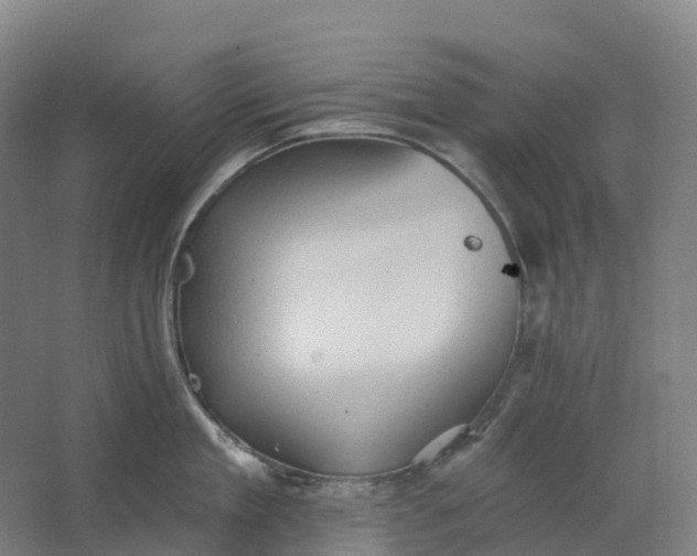 X0000062890909200601271644