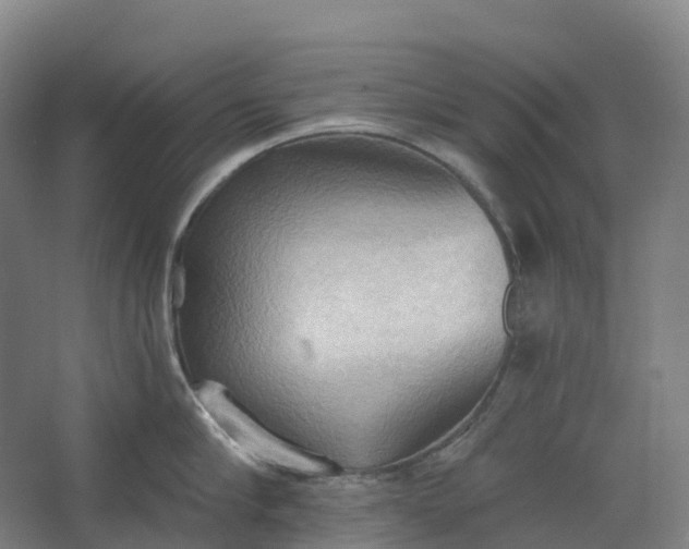 X0000062890910200601271644