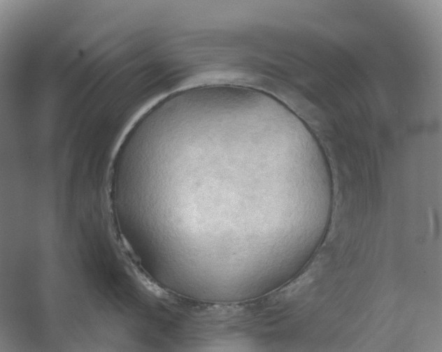 X0000062890912200601271644