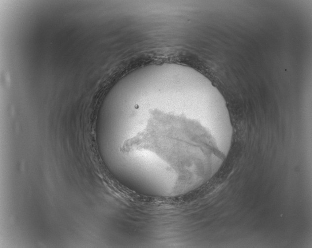 X0000062890913200601271643