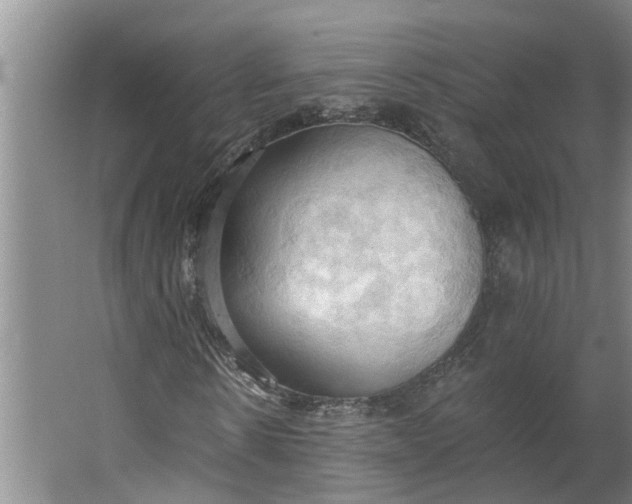 X0000062890914200601271643