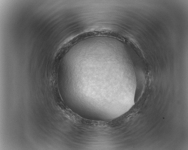 X0000062890920200601271644