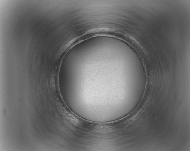 X0000062890921200601271644