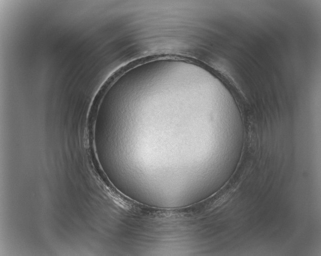 X0000062890924200601271644