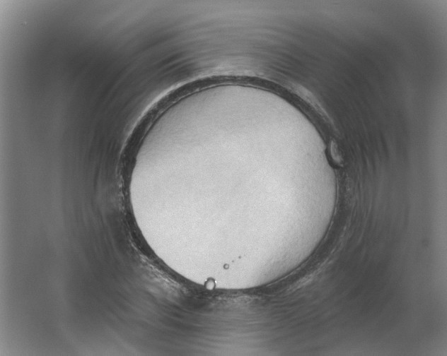 X0000062890926200601271644