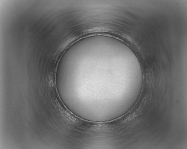 X0000062890929200601271644