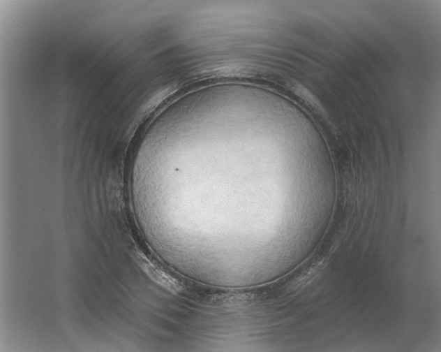 X0000062890930200601271644