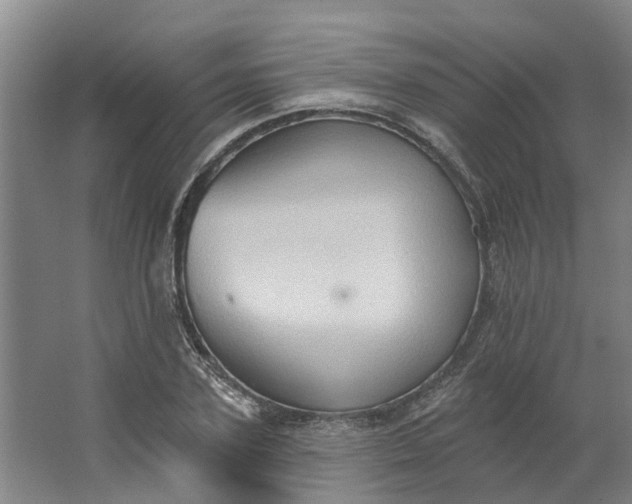 X0000062890931200601271644