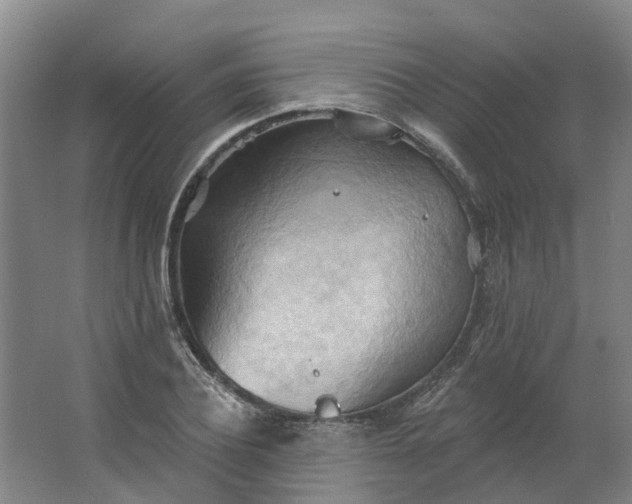 X0000062890932200601271644