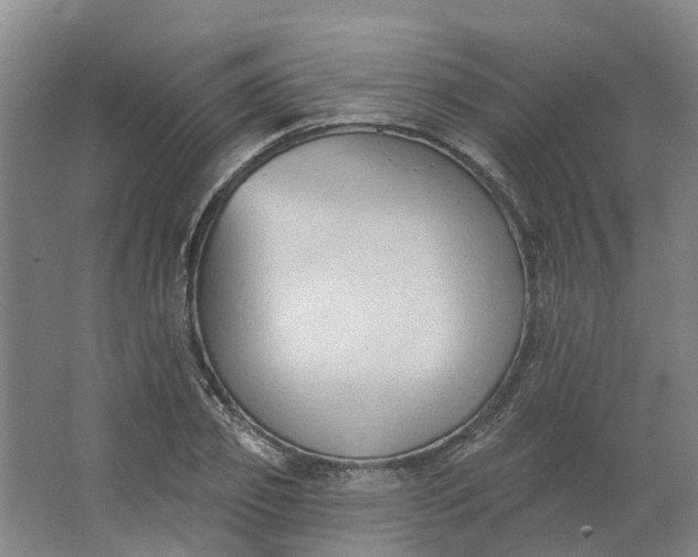 X0000062890933200601271644