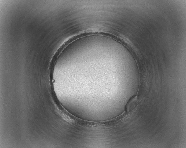 X0000062890934200601271644