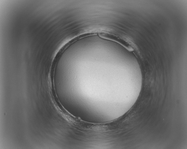 X0000062890936200601271644