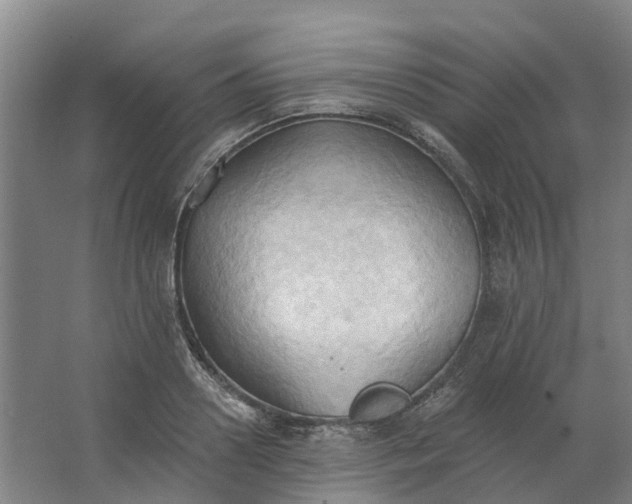 X0000062890938200601271644