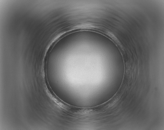 X0000062890939200601271644