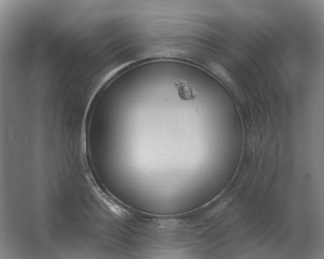 X0000062890940200601271644