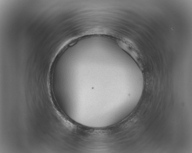 X0000062890942200601271644