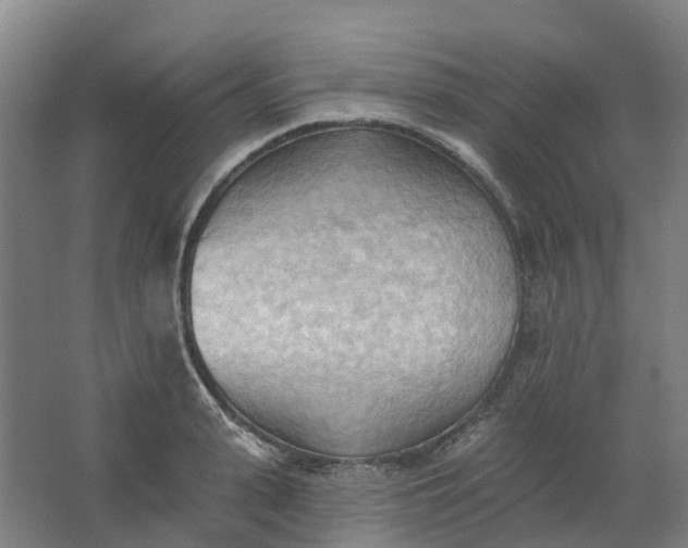 X0000062890943200601271644