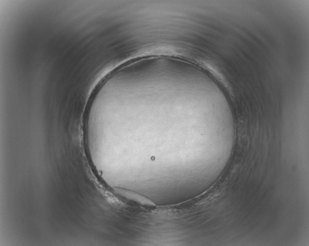 X0000062890944200601271644