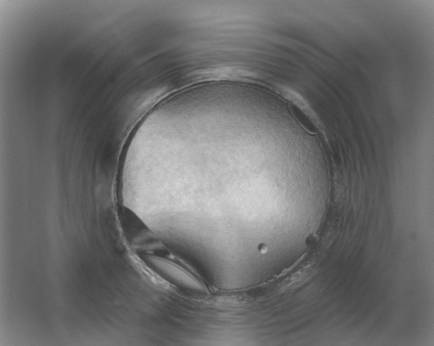 X0000062890946200601271644