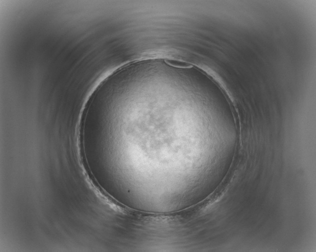 X0000062890949200601271644