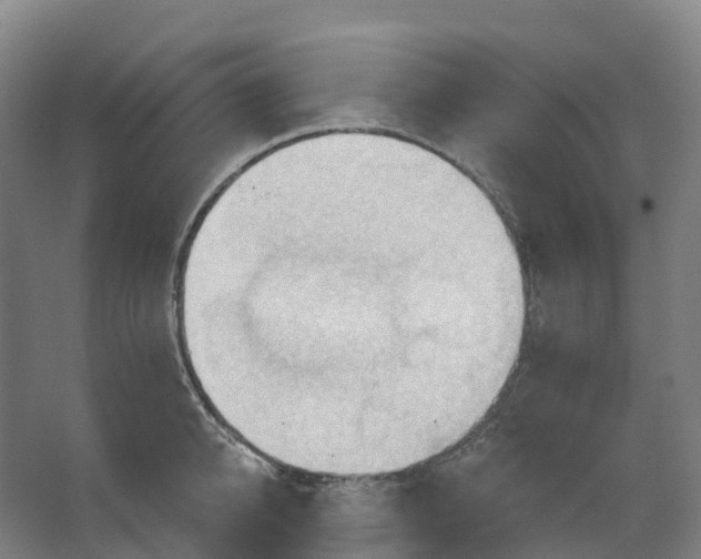 X0000062890950200601271644