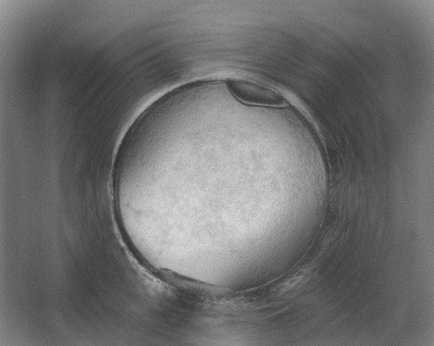 X0000062890951200601271644