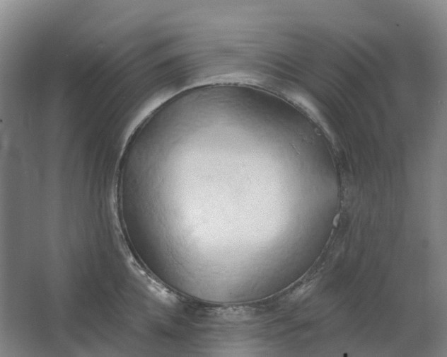 X0000062890952200601271644