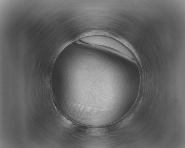 X0000062890953200601271644