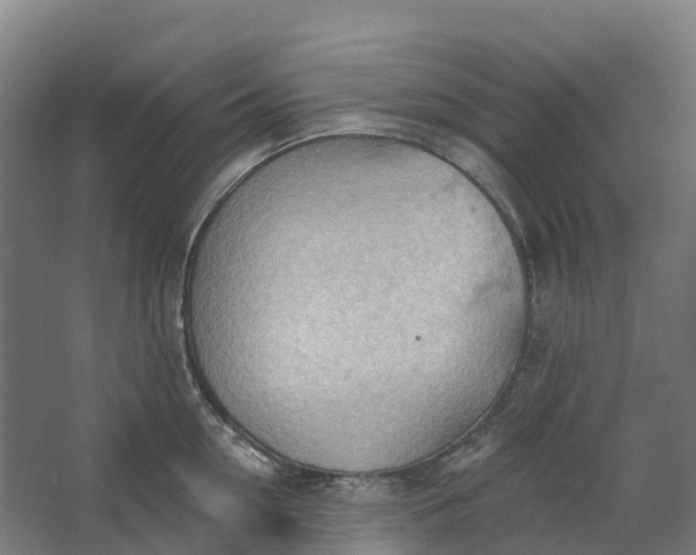 X0000062890954200601271644