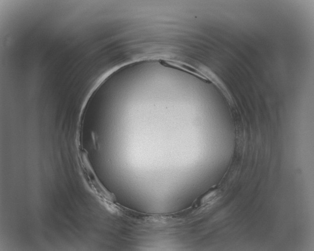 X0000062890956200601271644