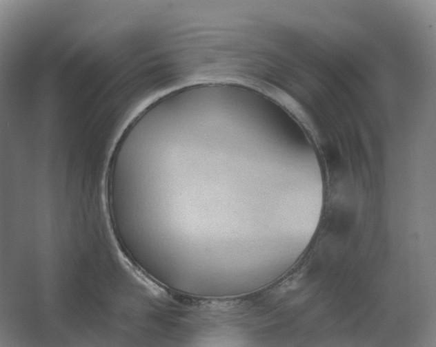 X0000062890958200601271644