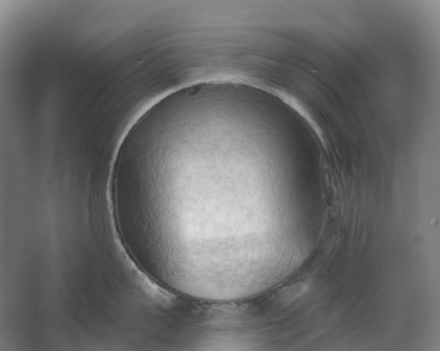 X0000062890959200601271644