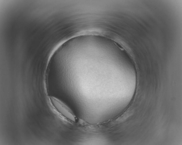 X0000062890960200601271644