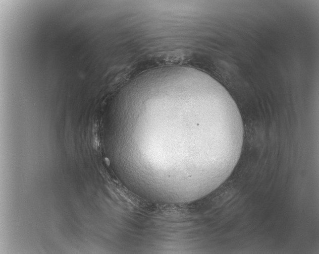 X0000062890962200601271643