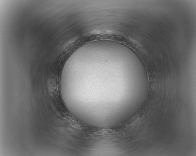 X0000062890966200601271643