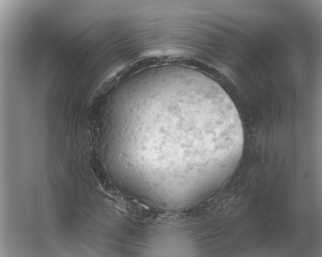 X0000062890967200601271643