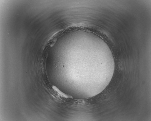 X0000062890968200601271643