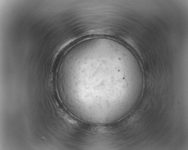 X0000062890971200601271643