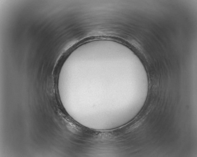 X0000062890974200601271643