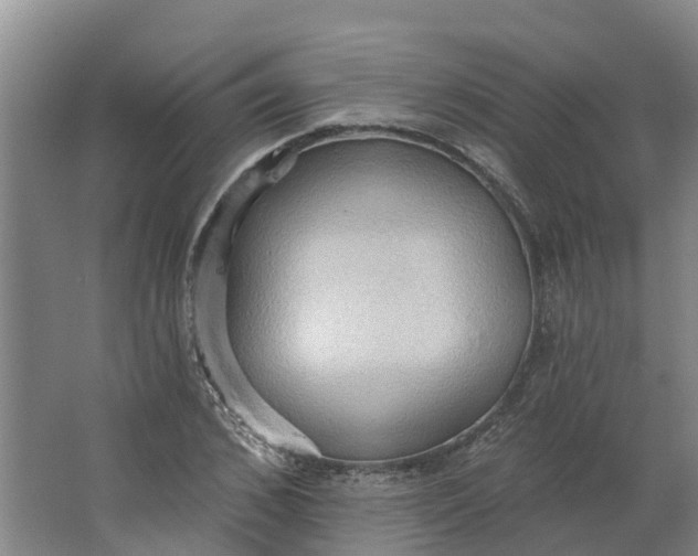 X0000062890976200601271643